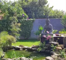 Vivências Anteriores